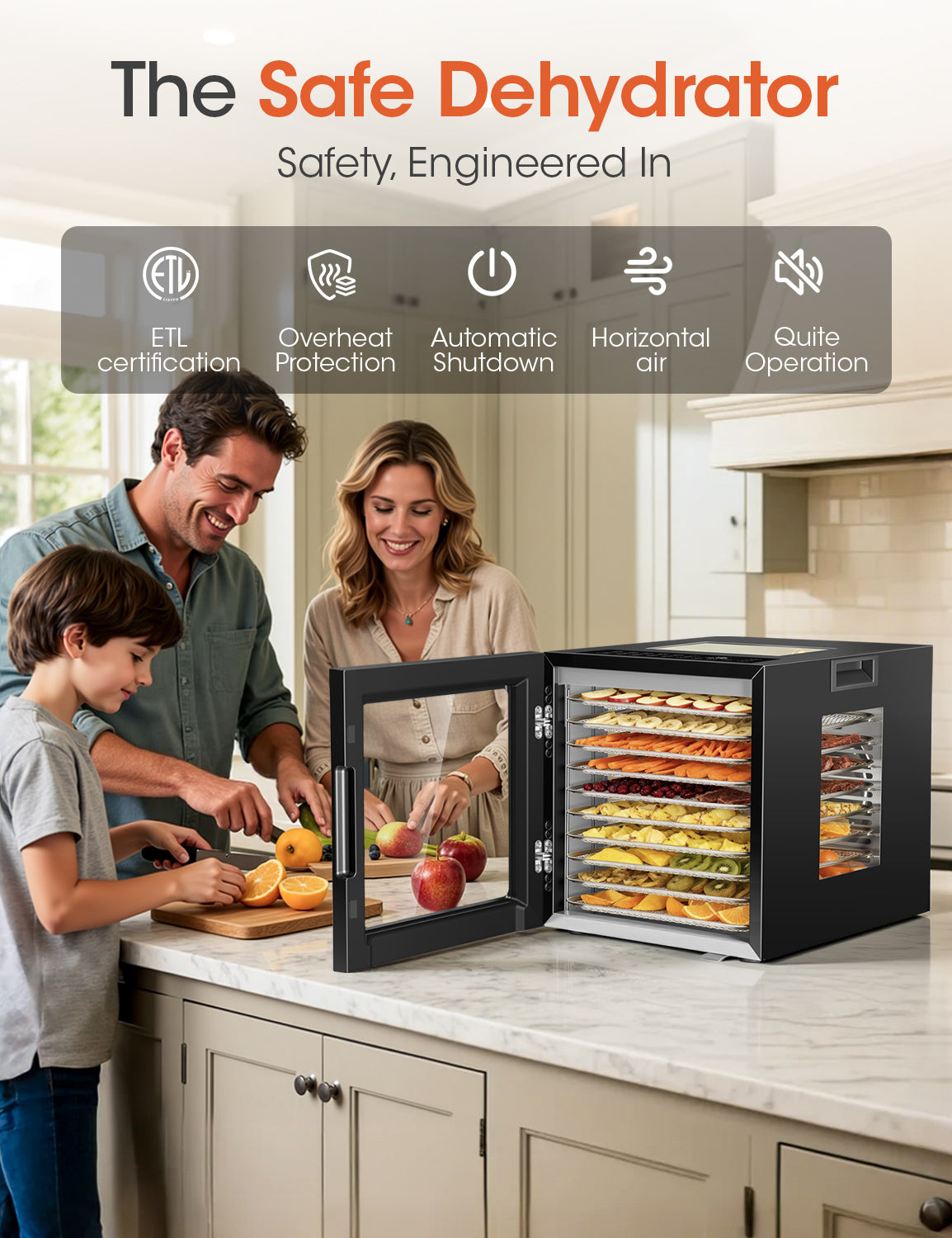 Patiosunny Food Dehydrator Machine, 10 Stainless Steel Trays, 850W Power, 95-167°F Temperature Control, LED Light, Ideal for Jerky, Herbs, Meat, Fruit, Vegetables, Black